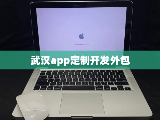 武汉app定制开发外包