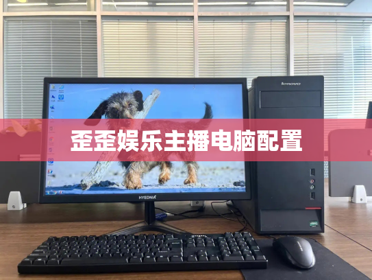 歪歪娱乐主播电脑配置