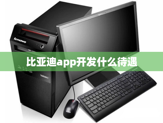 比亚迪app开发什么待遇