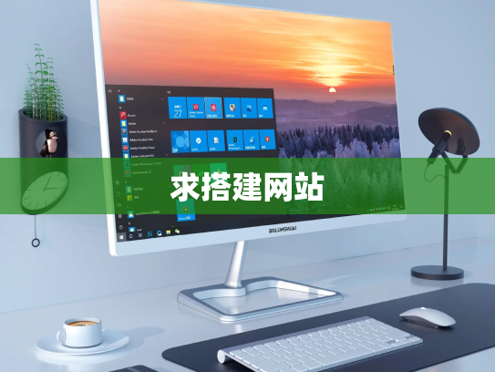 求搭建网站
