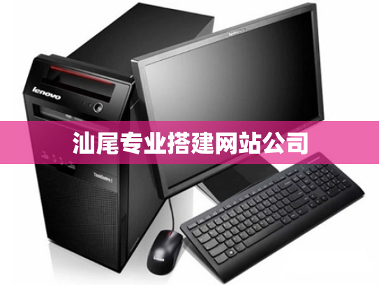 汕尾专业搭建网站公司