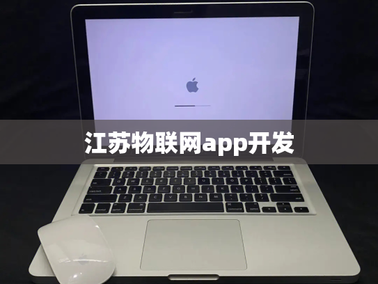 江苏物联网app开发