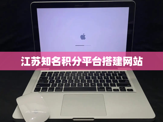 江苏知名积分平台搭建网站