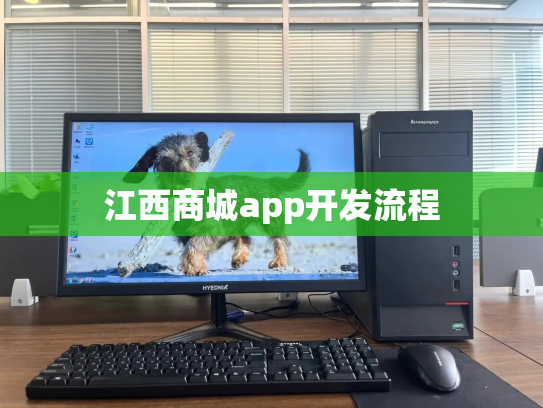 江西商城app开发流程
