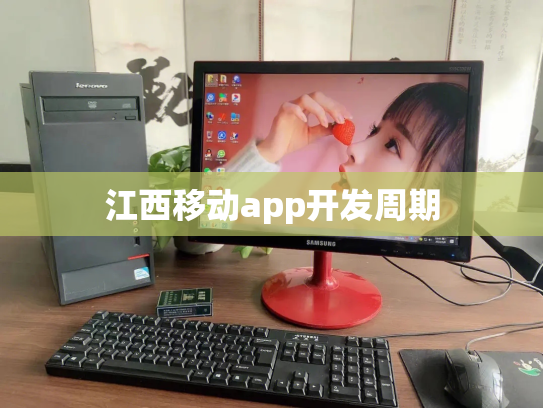 江西移动app开发周期