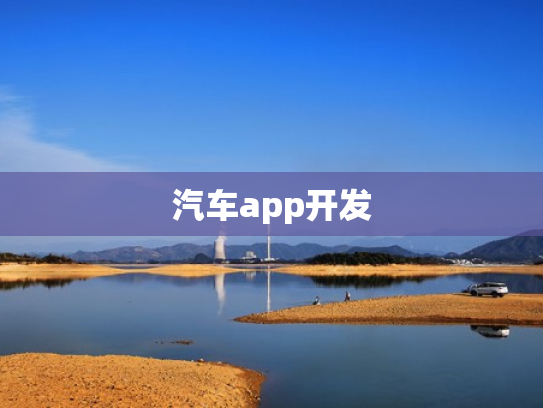 汽车app开发
