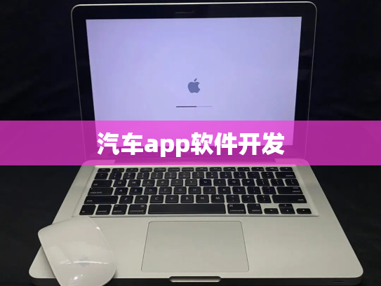 汽车app软件开发