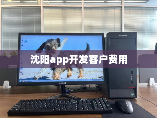 沈阳app开发客户费用