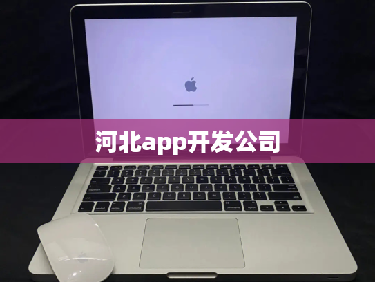 河北app开发公司