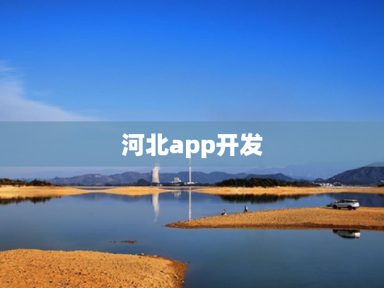 河北app开发
