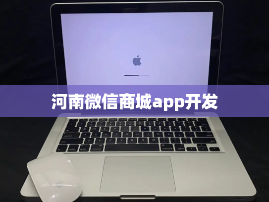 河南微信商城app开发