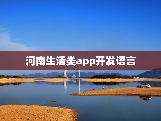 河南生活类app开发语言