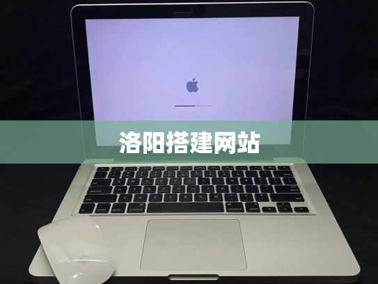 洛阳搭建网站