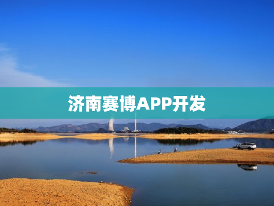 济南赛博APP开发