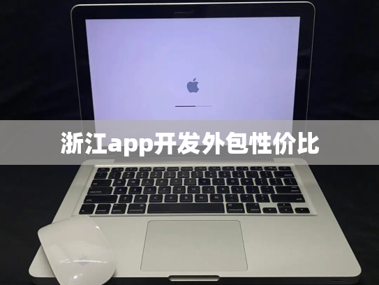 浙江app开发外包性价比
