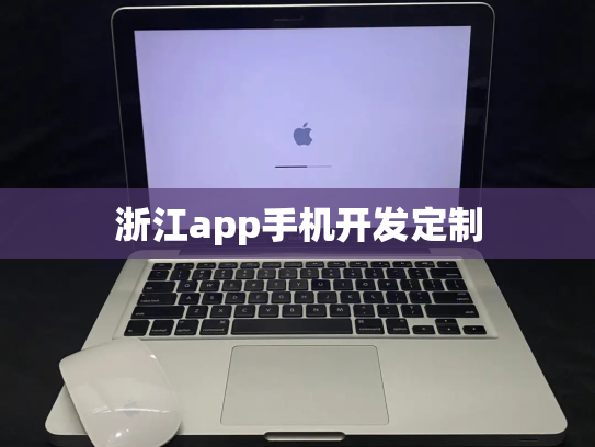 浙江app手机开发定制