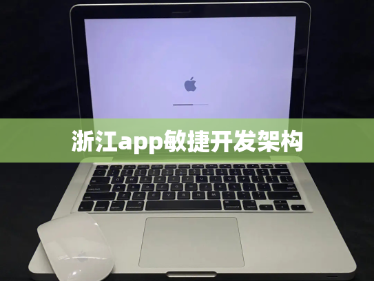 浙江app敏捷开发架构