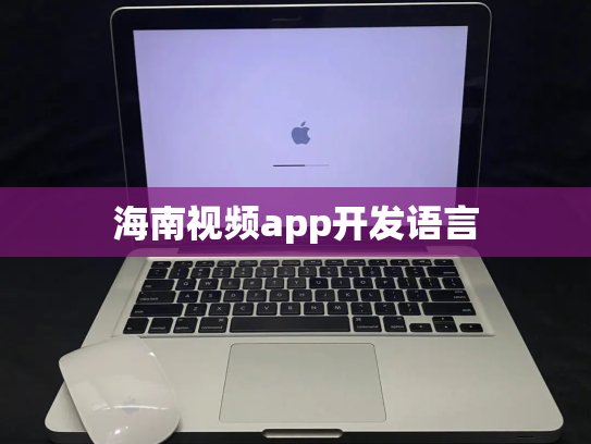 海南视频app开发语言