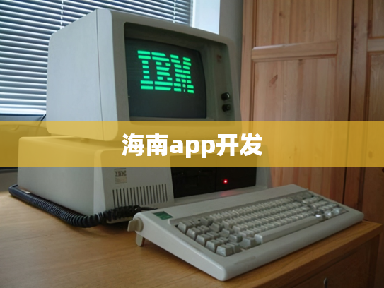 海南app开发
