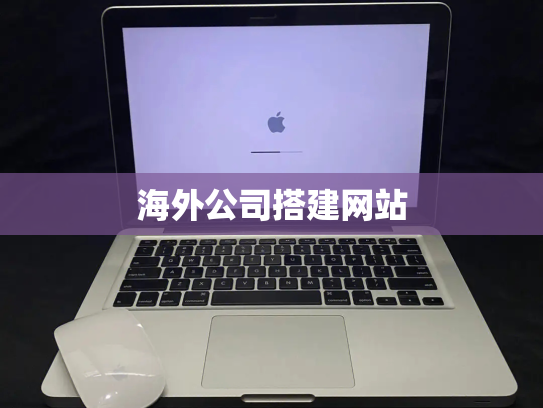 海外公司搭建网站