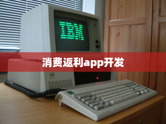 消费返利app开发