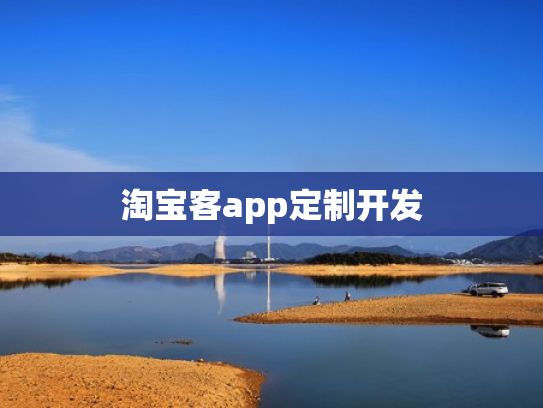 淘宝客app定制开发
