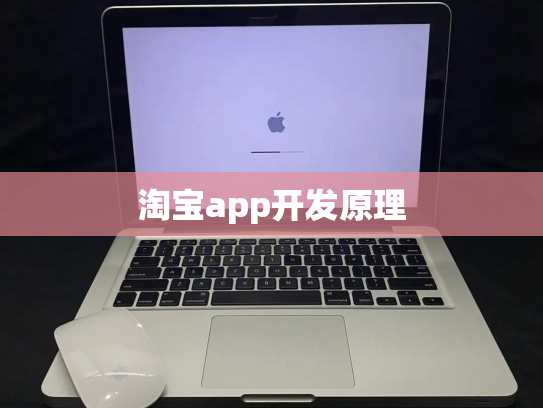 淘宝app开发原理