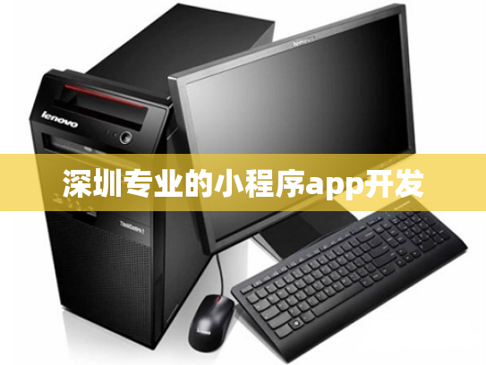 深圳专业的小程序app开发