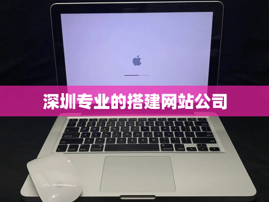 深圳专业的搭建网站公司