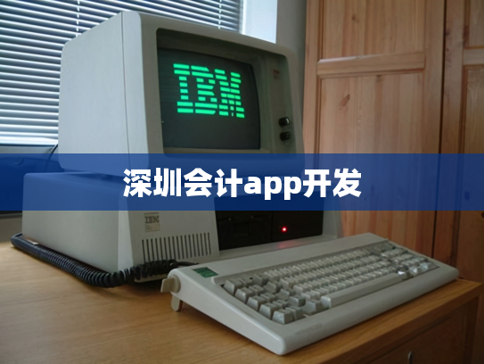 深圳会计app开发