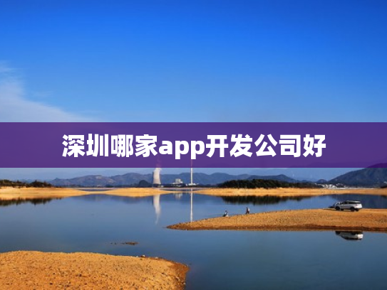 深圳哪家app开发公司好
