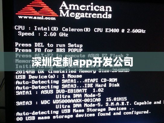 深圳定制app开发公司