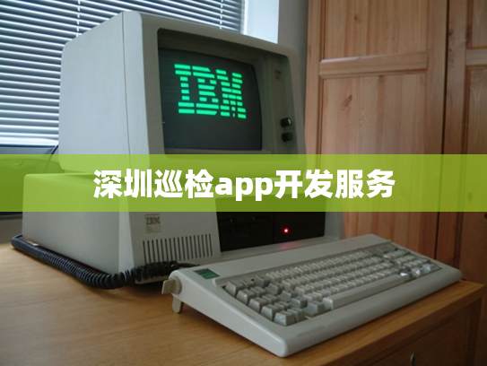 深圳巡检app开发服务