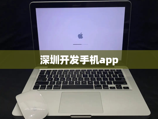 深圳开发手机app