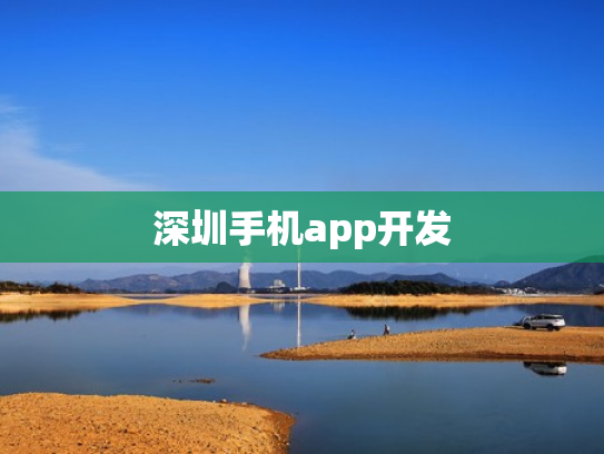 深圳手机app开发