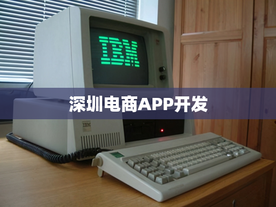 深圳电商APP开发