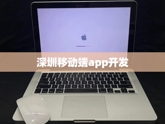 深圳移动端app开发