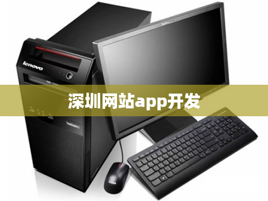 深圳网站app开发