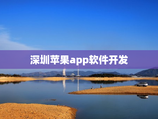 深圳苹果app软件开发