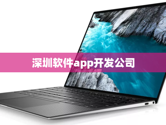 深圳软件app开发公司