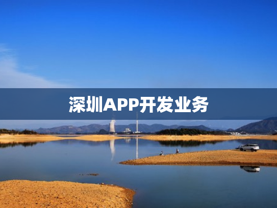 深圳APP开发业务