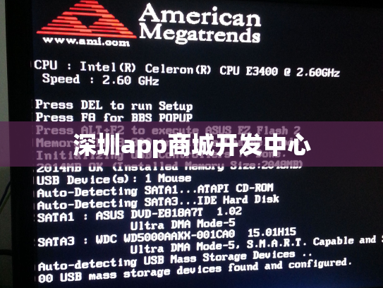 深圳app商城开发中心