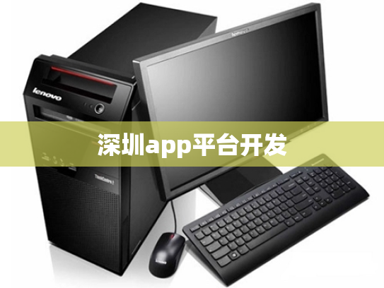 深圳app平台开发