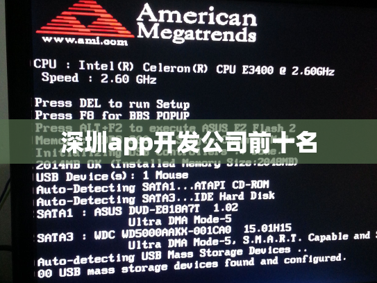 深圳app开发公司前十名