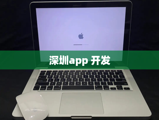 深圳app 开发