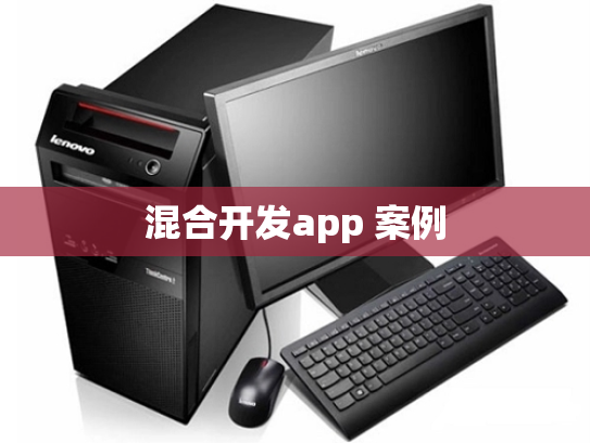 混合开发app 案例