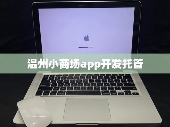 温州小商场app开发托管