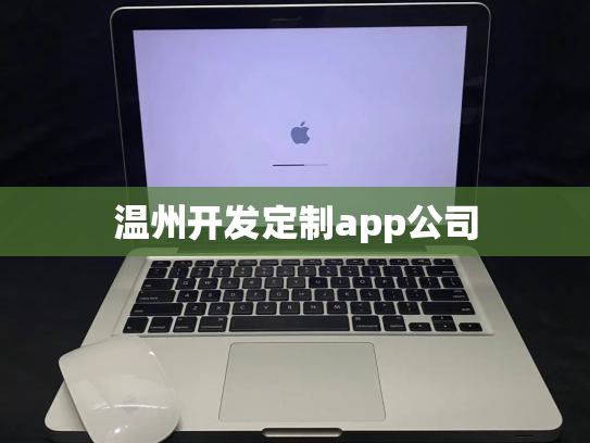 温州开发定制app公司