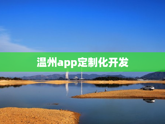 温州app定制化开发