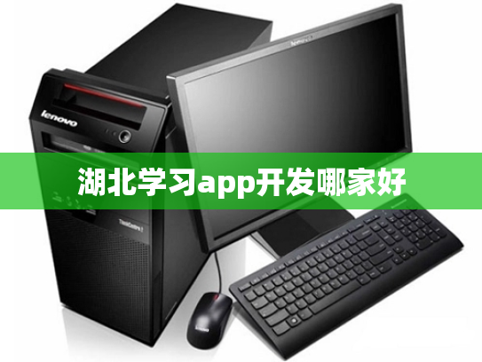 湖北学习app开发哪家好